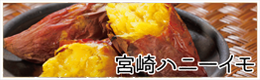 宮崎ハニーイモ